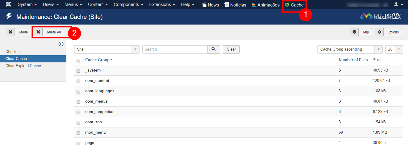Excluir o cache do meu site